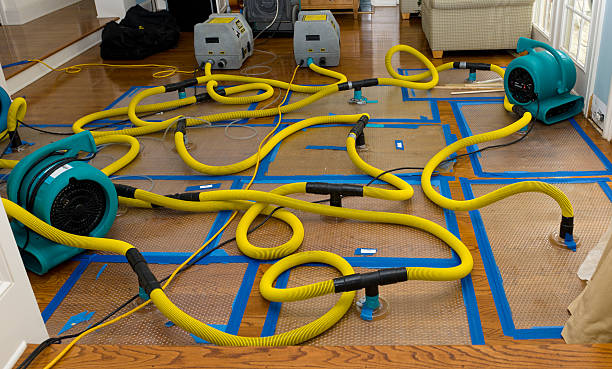 Professional Flood Damage Restoration technician working in Hebron, NH